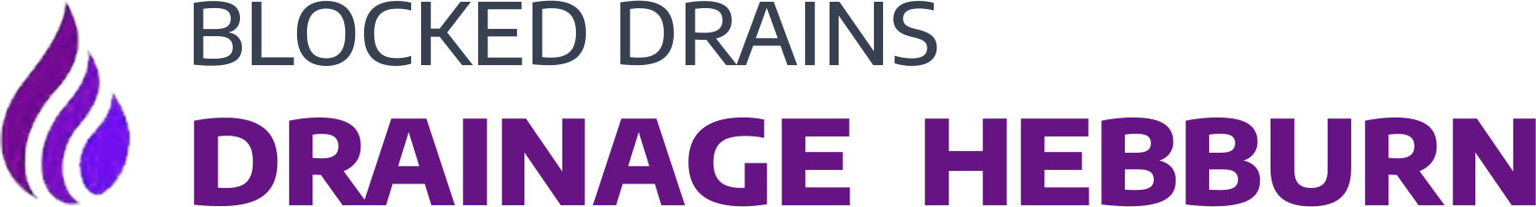 website logo